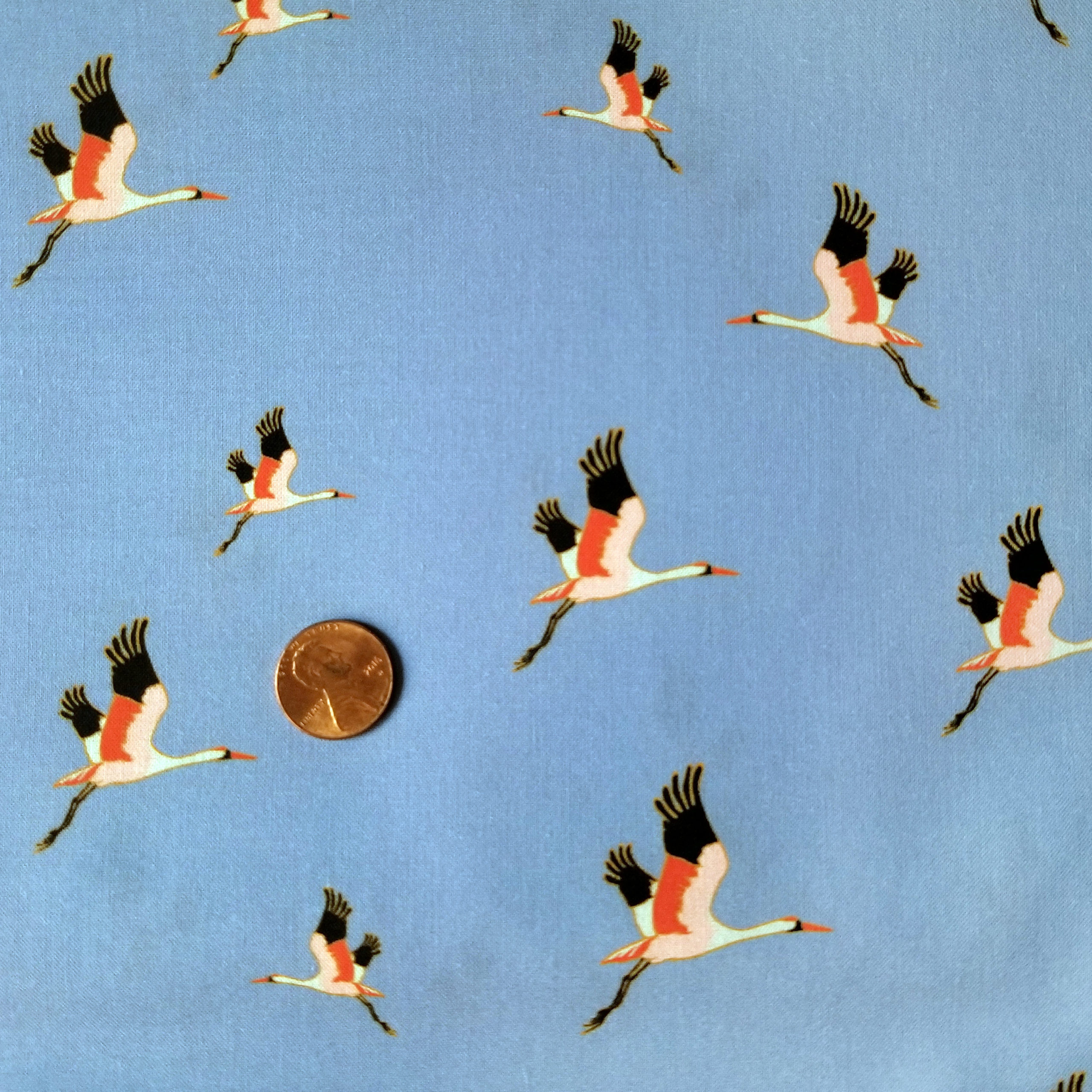 CRANEBLUEKSKYFLY