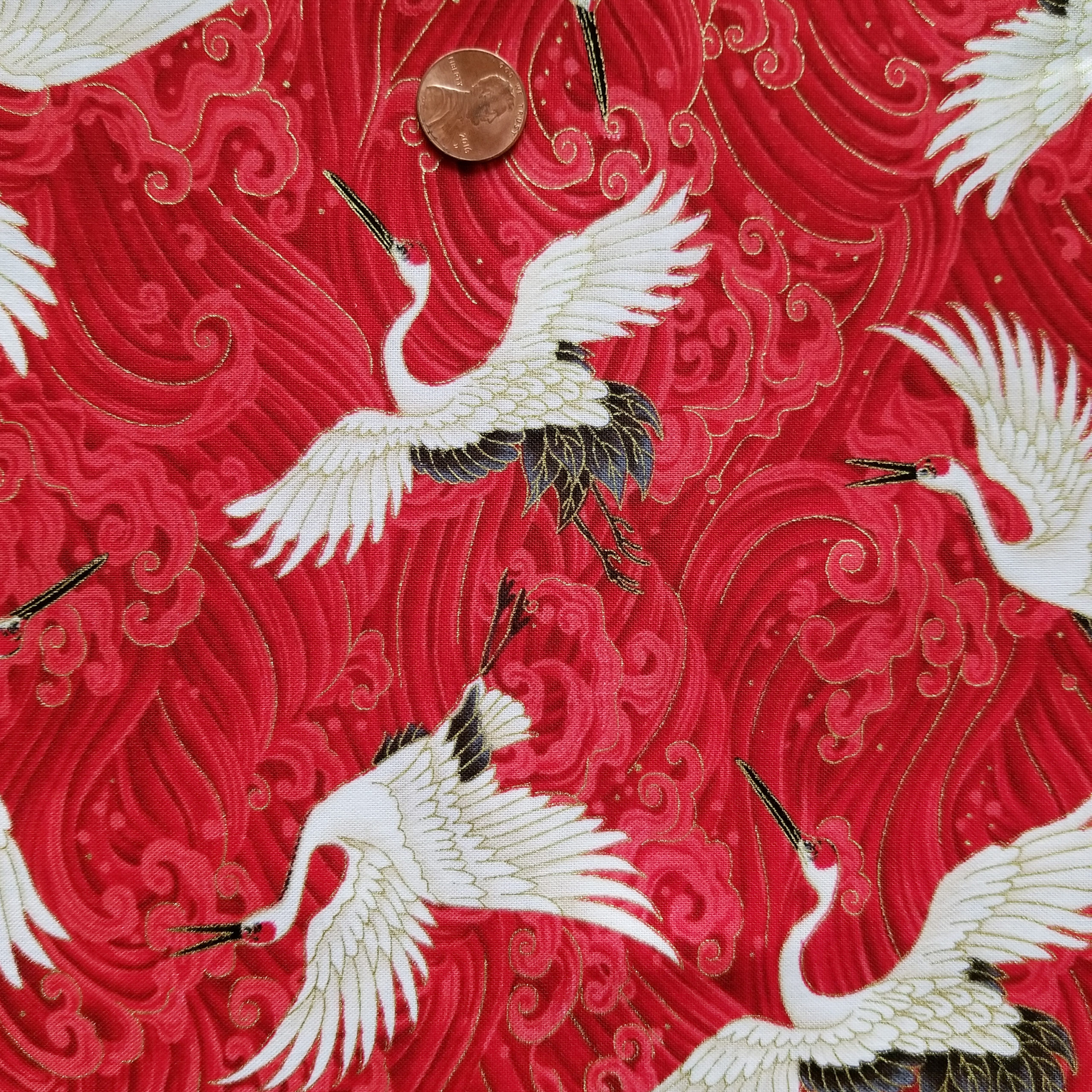 CRANESFLYREDWAVES