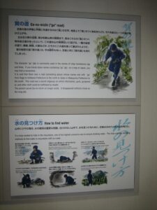 Iga Ueno Museum Display on the ninja secret road and how ninja found water, courtesy of Jeremy Hall